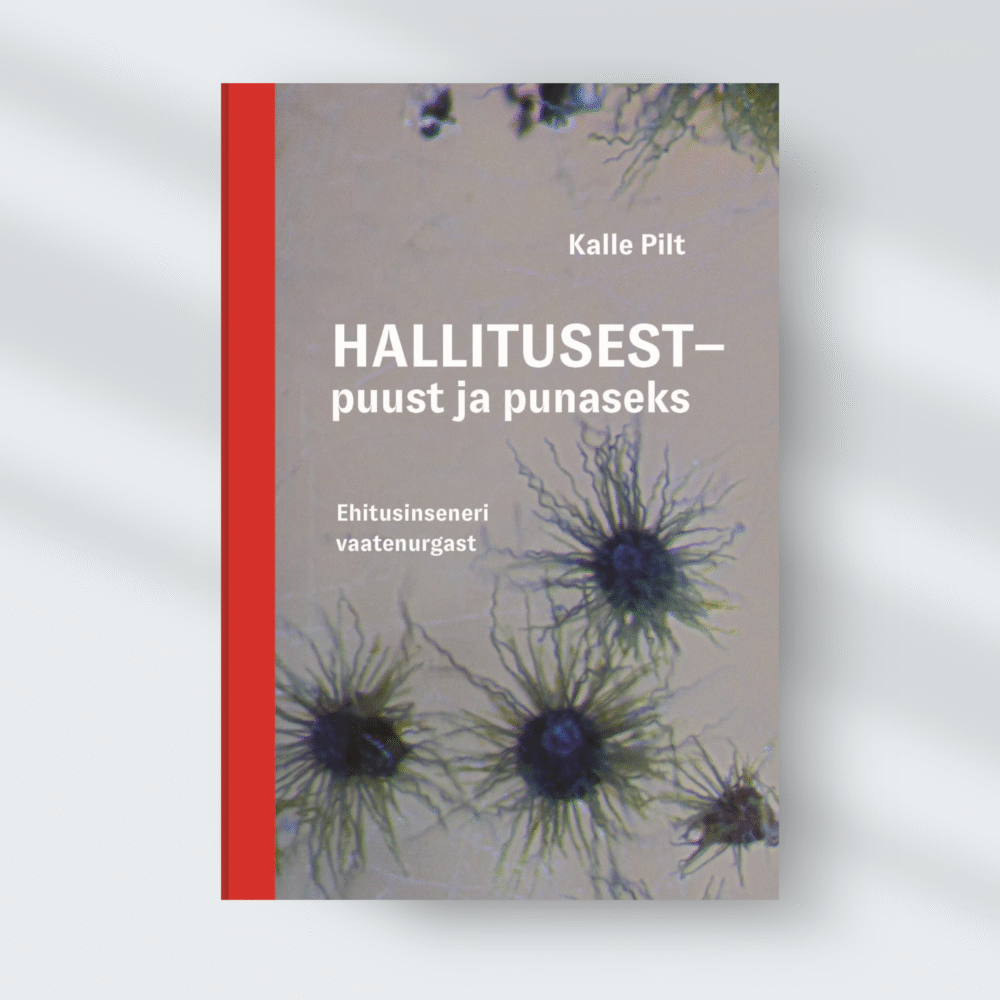 Hallitusest - puust ja punaseks