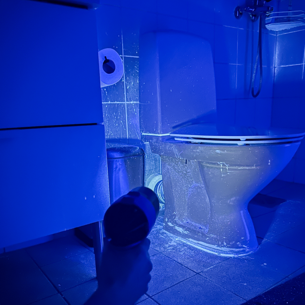 Professional UV Lamp